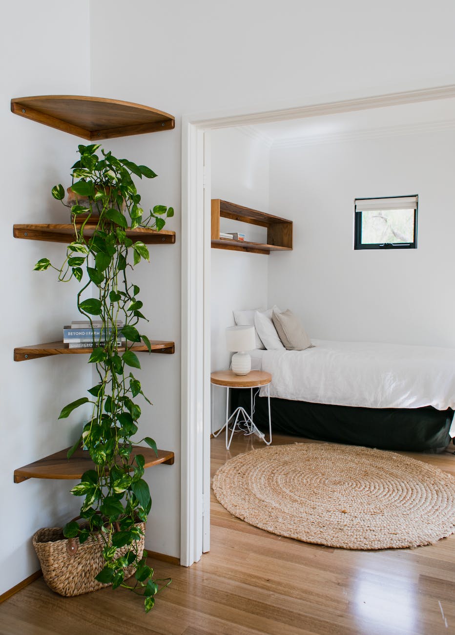 interior of cozy lounge with potted green plants on shelves